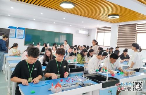 模型启智，化学有形——广信区职校综合高中举办首届化学分子模型制作大赛